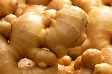 供應(yīng)生姜提取物